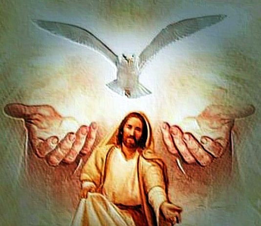 FE, DIÁLOGO Y UNIDAD