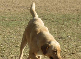 LA RAZÓN DE DESPERTAR SONRIENDO