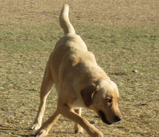 LA RAZÓN DE DESPERTAR SONRIENDO