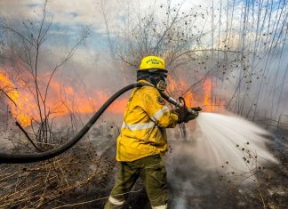 ESTUDIANTES APRENDIERON COMO EVITAR INCENDIOS FORESTALES