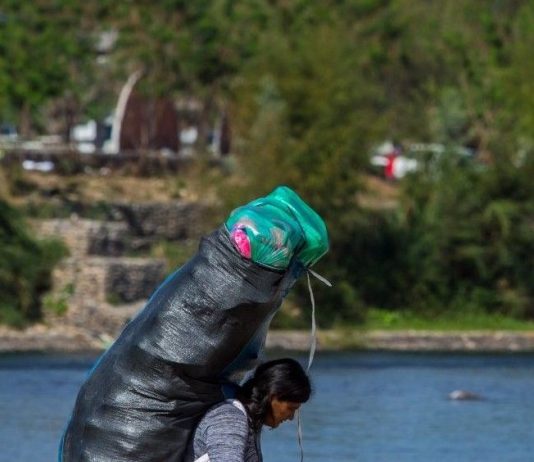 COQUEAR ES LEGAL, PERO TRAERLA, DELITO