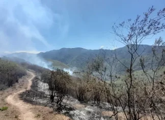 LO ENCONTRARON MUERTO