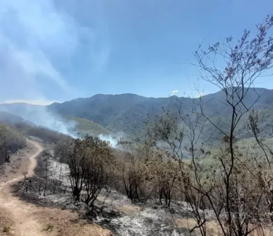 LO ENCONTRARON MUERTO