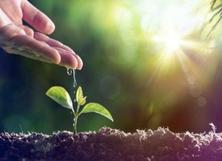 LA BUENA GENTE, SIEMPRE