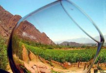 PRESENCIA DE LOS VINOS DE ALTURA DE SALTA EN ESTADOS UNIDOS