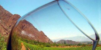 PRESENCIA DE LOS VINOS DE ALTURA DE SALTA EN ESTADOS UNIDOS