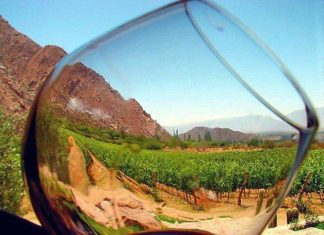 PRESENCIA DE LOS VINOS DE ALTURA DE SALTA EN ESTADOS UNIDOS