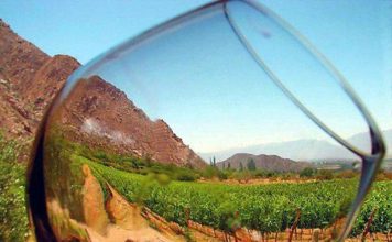 PRESENCIA DE LOS VINOS DE ALTURA DE SALTA EN ESTADOS UNIDOS