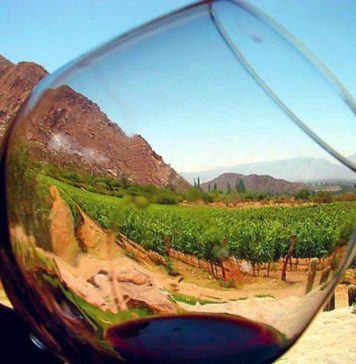 PRESENCIA DE LOS VINOS DE ALTURA DE SALTA EN ESTADOS UNIDOS