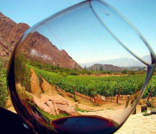 PRESENCIA DE LOS VINOS DE ALTURA DE SALTA EN ESTADOS UNIDOS