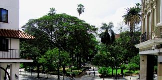 BELLEZA, SABORES Y PATRIA EN LA ESQUINA