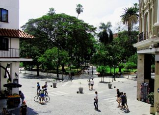 BELLEZA, SABORES Y PATRIA EN LA ESQUINA