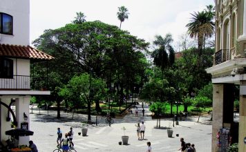 BELLEZA, SABORES Y PATRIA EN LA ESQUINA