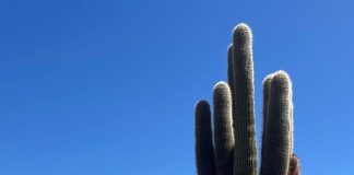 LA IDENTIDAD, UN ESTILO