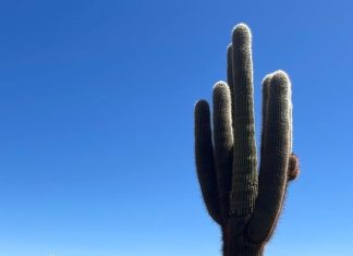 LA IDENTIDAD, UN ESTILO