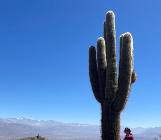LA IDENTIDAD, UN ESTILO