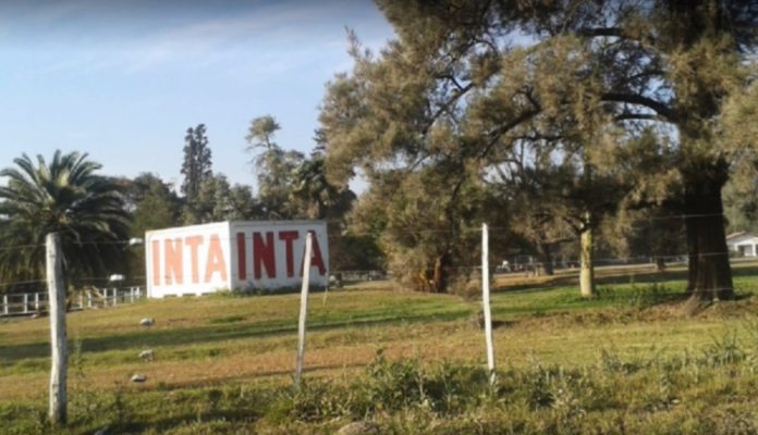 inta-salta