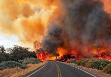FUEGO EN CAFAYATE