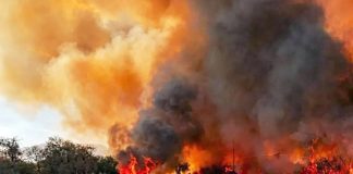 FUEGO EN CAFAYATE
