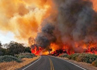 FUEGO EN CAFAYATE