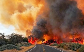 FUEGO EN CAFAYATE