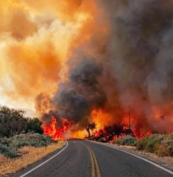 FUEGO EN CAFAYATE
