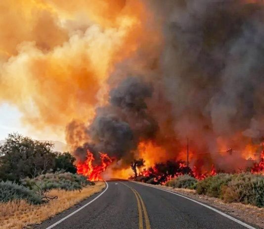 FUEGO EN CAFAYATE