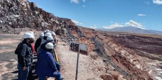 TALENTOS LOCALES PARA LA MINERÍA