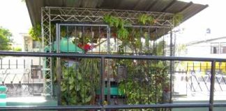 ASESINADA Y SANTA POPULAR: LA JUANA FIGUEROA