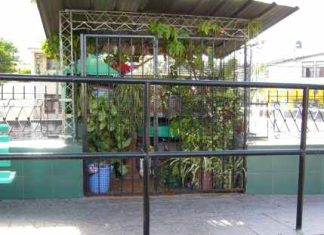 ASESINADA Y SANTA POPULAR: LA JUANA FIGUEROA