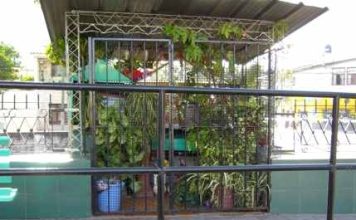 ASESINADA Y SANTA POPULAR: LA JUANA FIGUEROA