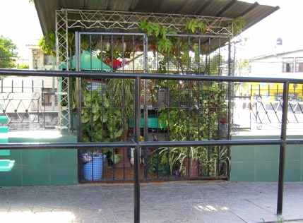 ASESINADA Y SANTA POPULAR: LA JUANA FIGUEROA