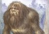 MONSTRUO FEROZ SELVÁTICO O HUMANOIDE TÍMIDO Y SALVAJE