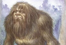 MONSTRUO FEROZ SELVÁTICO O HUMANOIDE TÍMIDO Y SALVAJE
