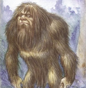 MONSTRUO FEROZ SELVÁTICO O HUMANOIDE TÍMIDO Y SALVAJE