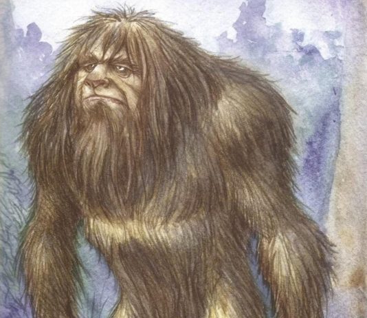 MONSTRUO FEROZ SELVÁTICO O HUMANOIDE TÍMIDO Y SALVAJE