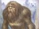 MONSTRUO FEROZ SELVÁTICO O HUMANOIDE TÍMIDO Y SALVAJE